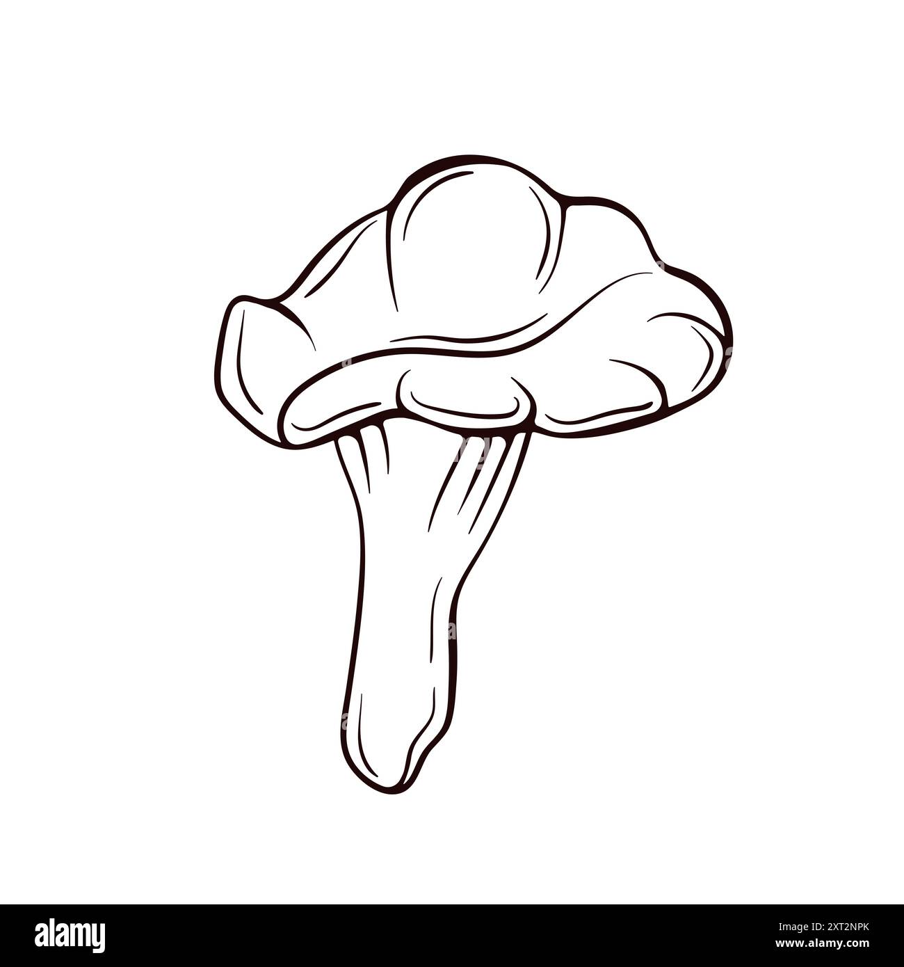 Un'illustrazione splendidamente dettagliata che mostra lo straordinario fungo Chanterelle. Design di alimenti disegnati a mano per il negozio di verdure. Illustrazione vettoriale Illustrazione Vettoriale