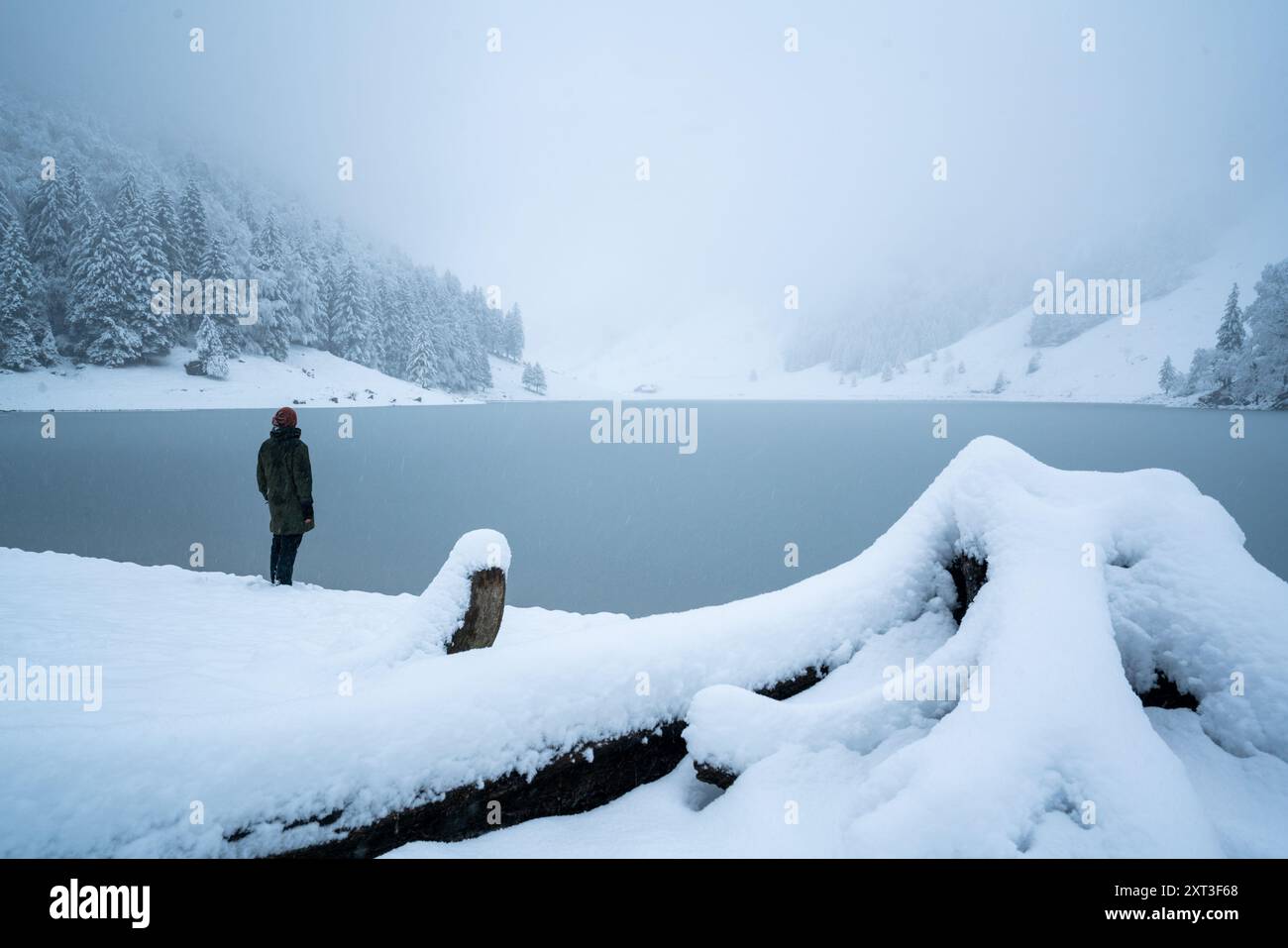 Una persona si erge a contemplare un lago sereno e innevato in Svizzera, circondato da alberi ghiacciati e da un paesaggio tranquillo e silenzioso Foto Stock