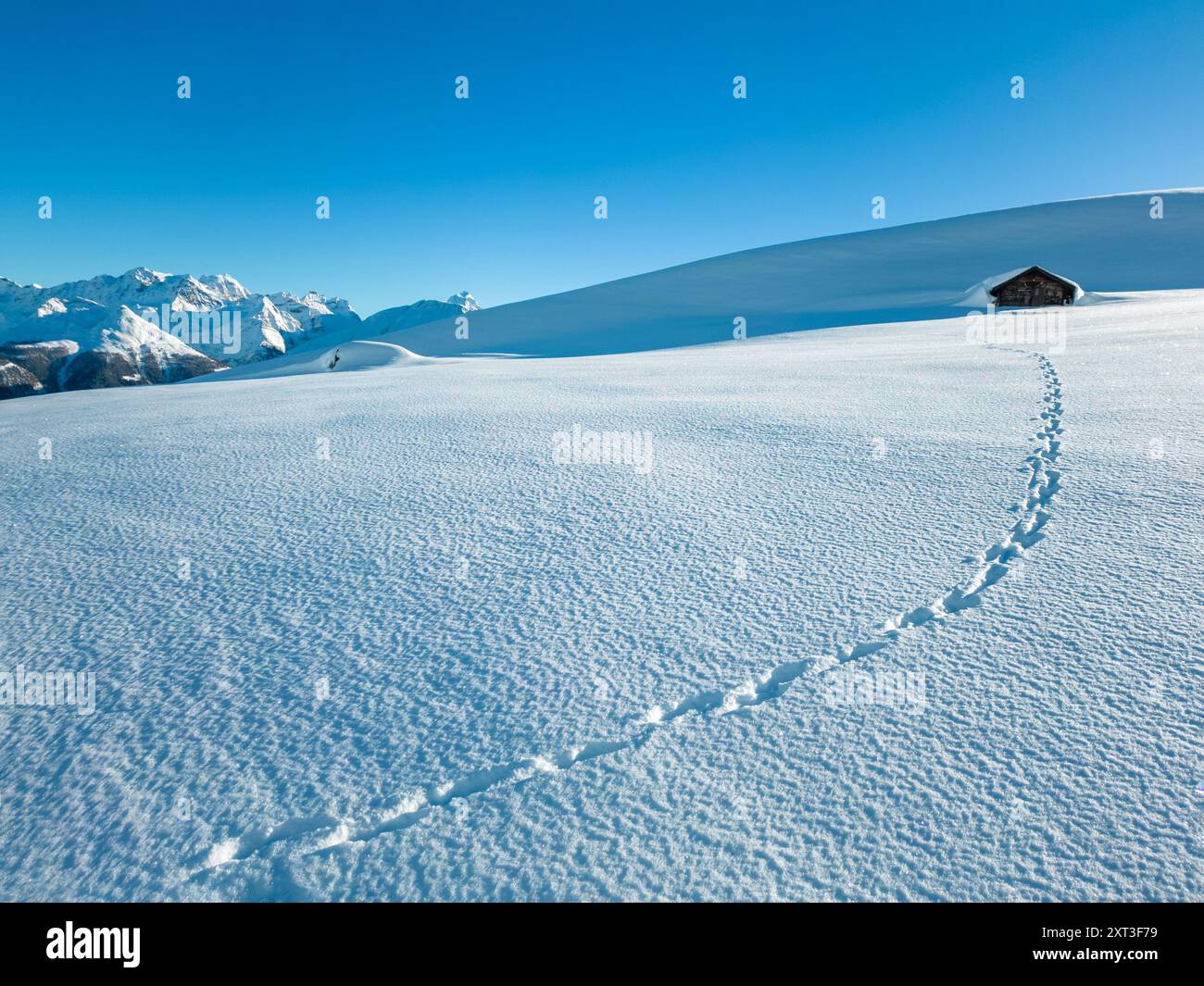 Un paesaggio invernale incontaminato in Svizzera con neve fresca sotto un cielo azzurro e limpido, Un unico sentiero di impronte conduce a una piccola cabina di legno, circondata Foto Stock