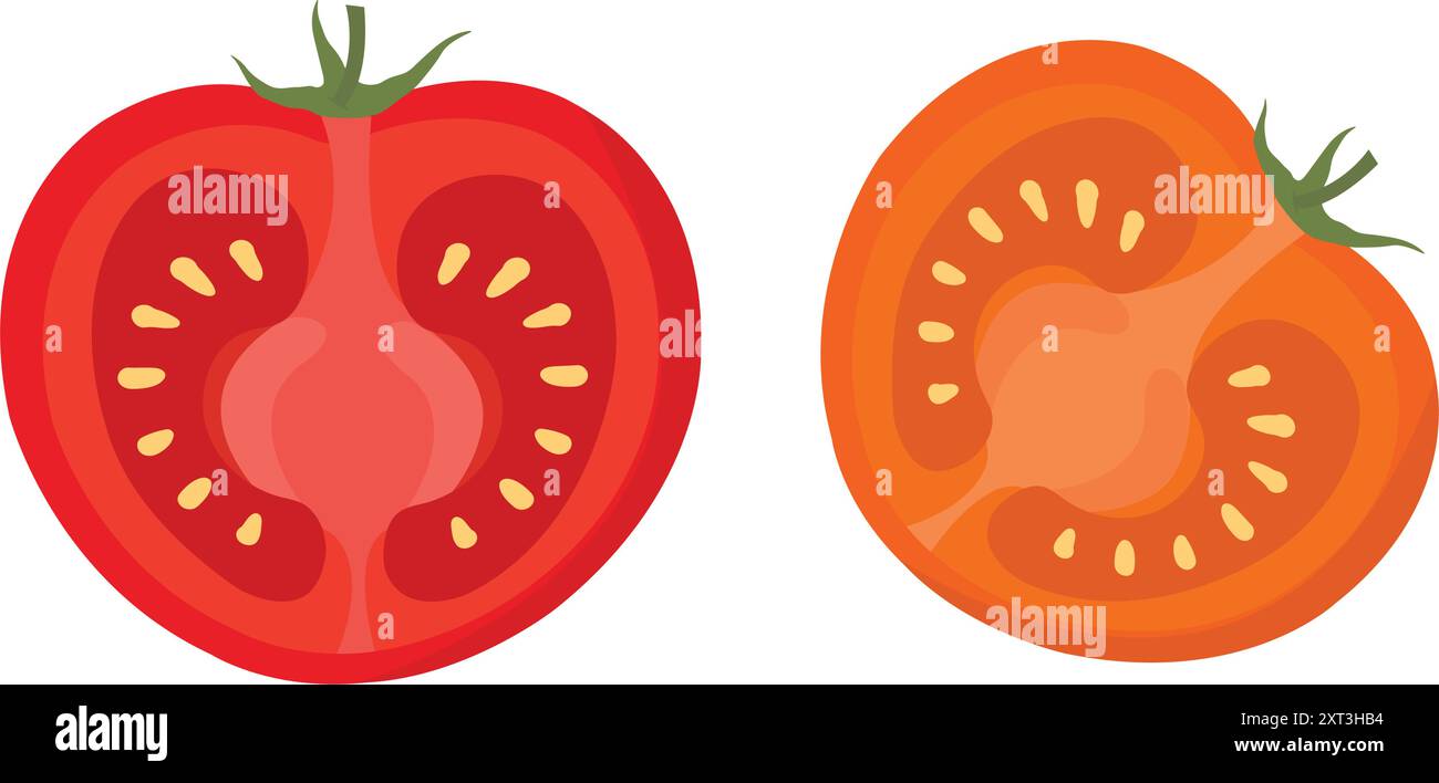 Pomodoro rosso succoso a metà taglio: Illustrazione vettoriale dettagliata. Accattivante fetta di pomodoro. Risorsa per l'industria alimentare. Vettoriale di pomodoro rosso a metà taglio. Pomodoro rosso Illustrazione Vettoriale