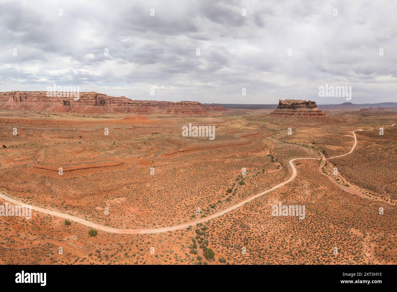 Fotografia aerea che cattura il vasto e aspro paesaggio della Valle degli dei nello Utah, caratterizzato da terreni ondulati, mesa distintive e un tortuoso Foto Stock