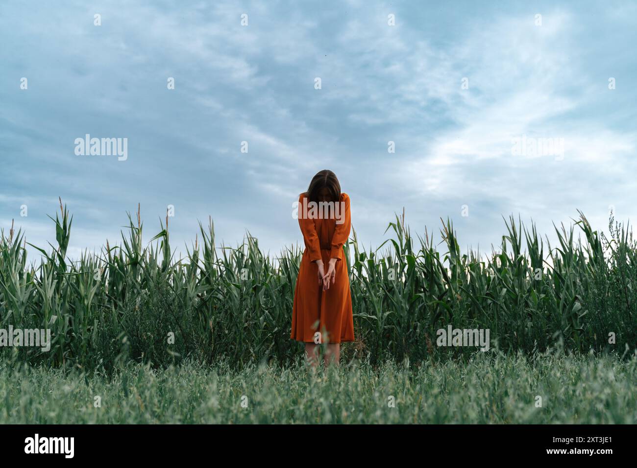 Una giovane donna bruna, che indossa un vivace abito arancione, si erge solennemente in un lussureggiante campo di mais. Guardando verso il basso, la sua espressione è introspettiva come si fa Foto Stock