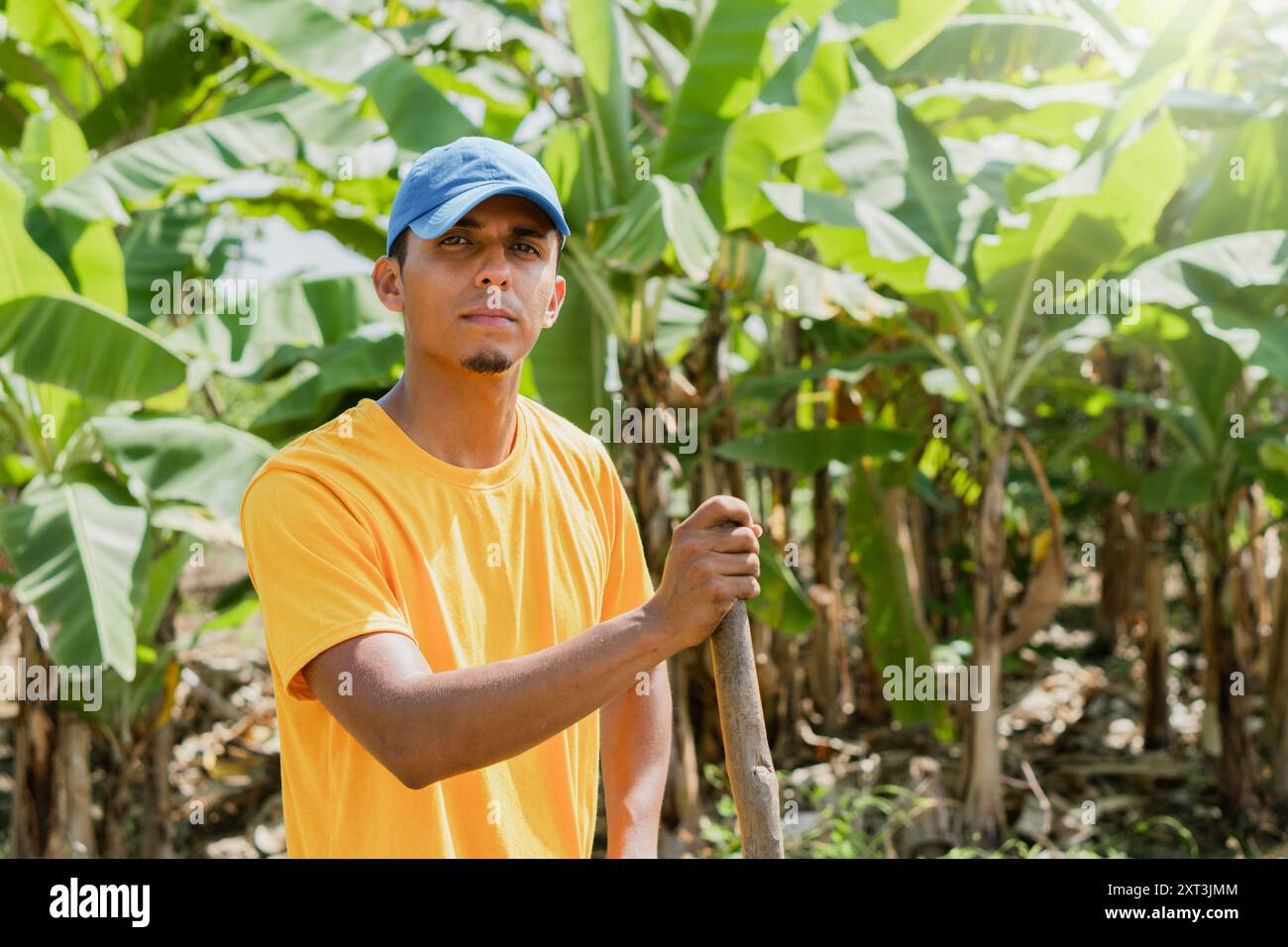 Un giardiniere laborioso si trova pronto con una pala in un lussureggiante habitat verde, preparandosi a trapiantare i colpi di ibisco sotto un cielo soleggiato Foto Stock