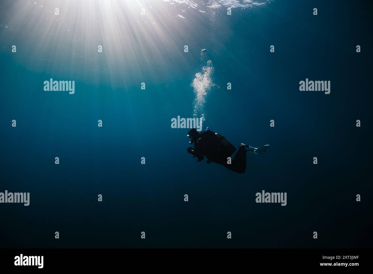 Un subacqueo anonimo scende nelle profondità scintillanti dell'oceano blu, con i raggi del sole che perforano l'acqua sopra. L'attenzione del subacqueo è rivolta al ma invisibile Foto Stock