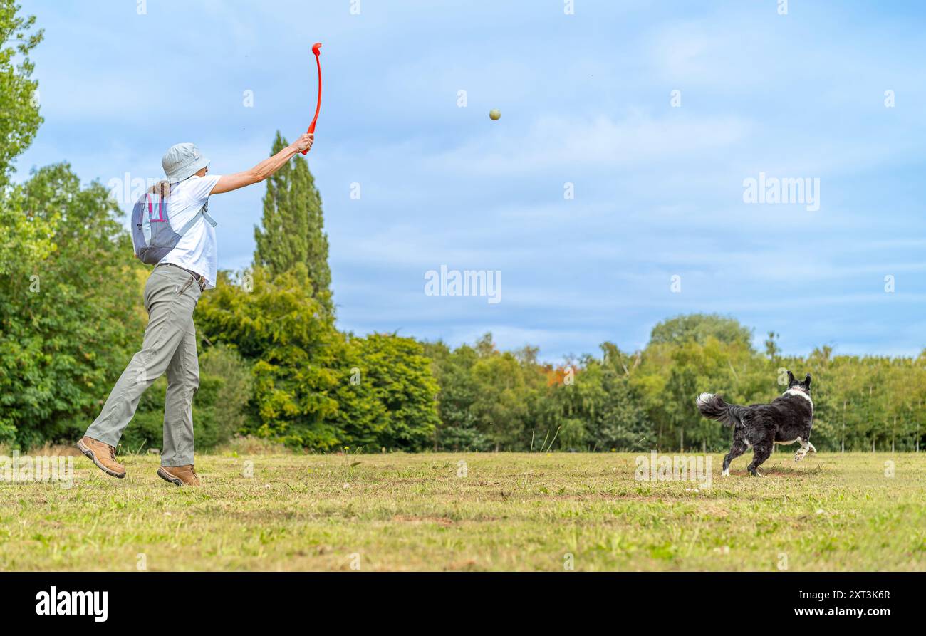 Vista laterale della donna che indossa un cappello a secchiello e lancia una palla per il suo cane in un parco del Regno Unito, in una giornata di sole ad agosto. Foto Stock