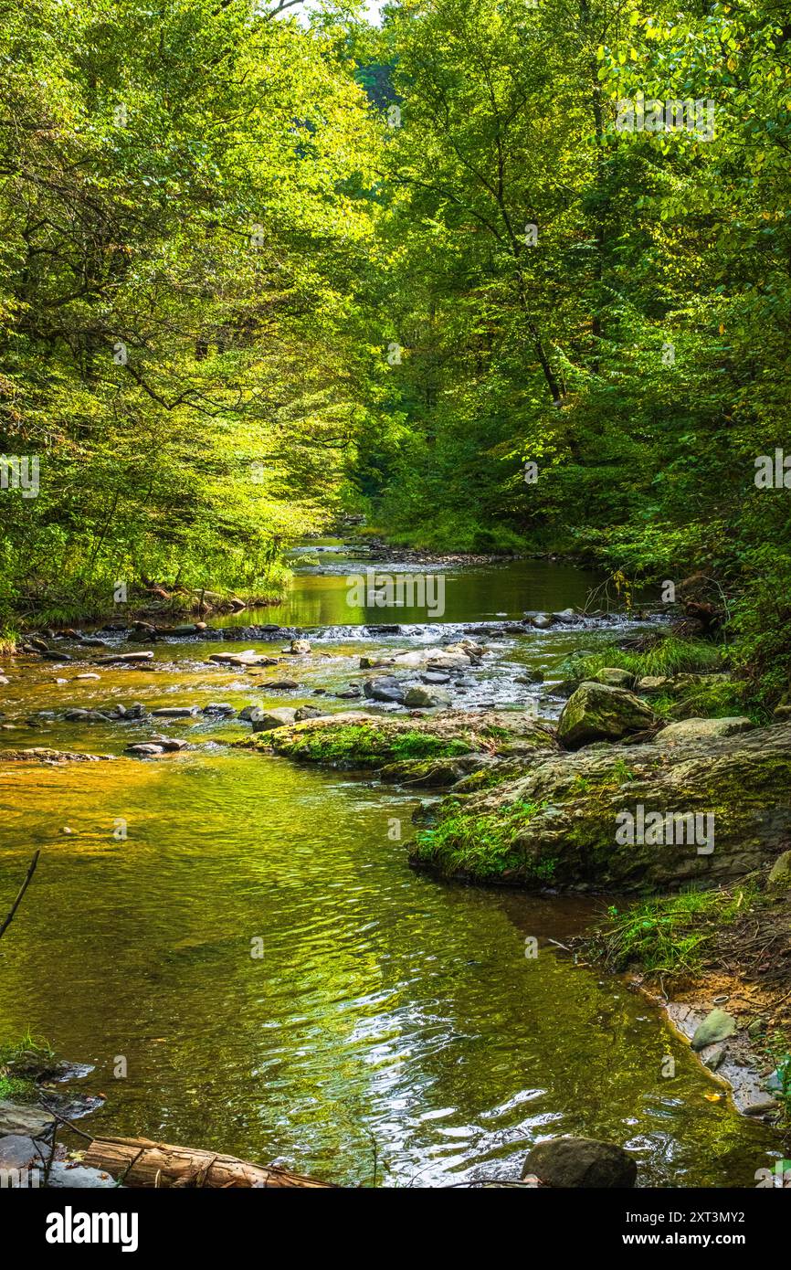 Paint Creek scorre a valle e piscine in una baia rocciosa ombreggiata da alberi Foto Stock