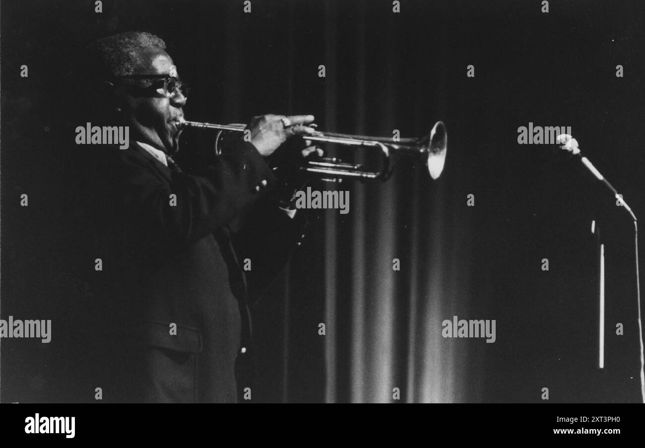 Roy Eldridge, 1972 anni. Foto Stock