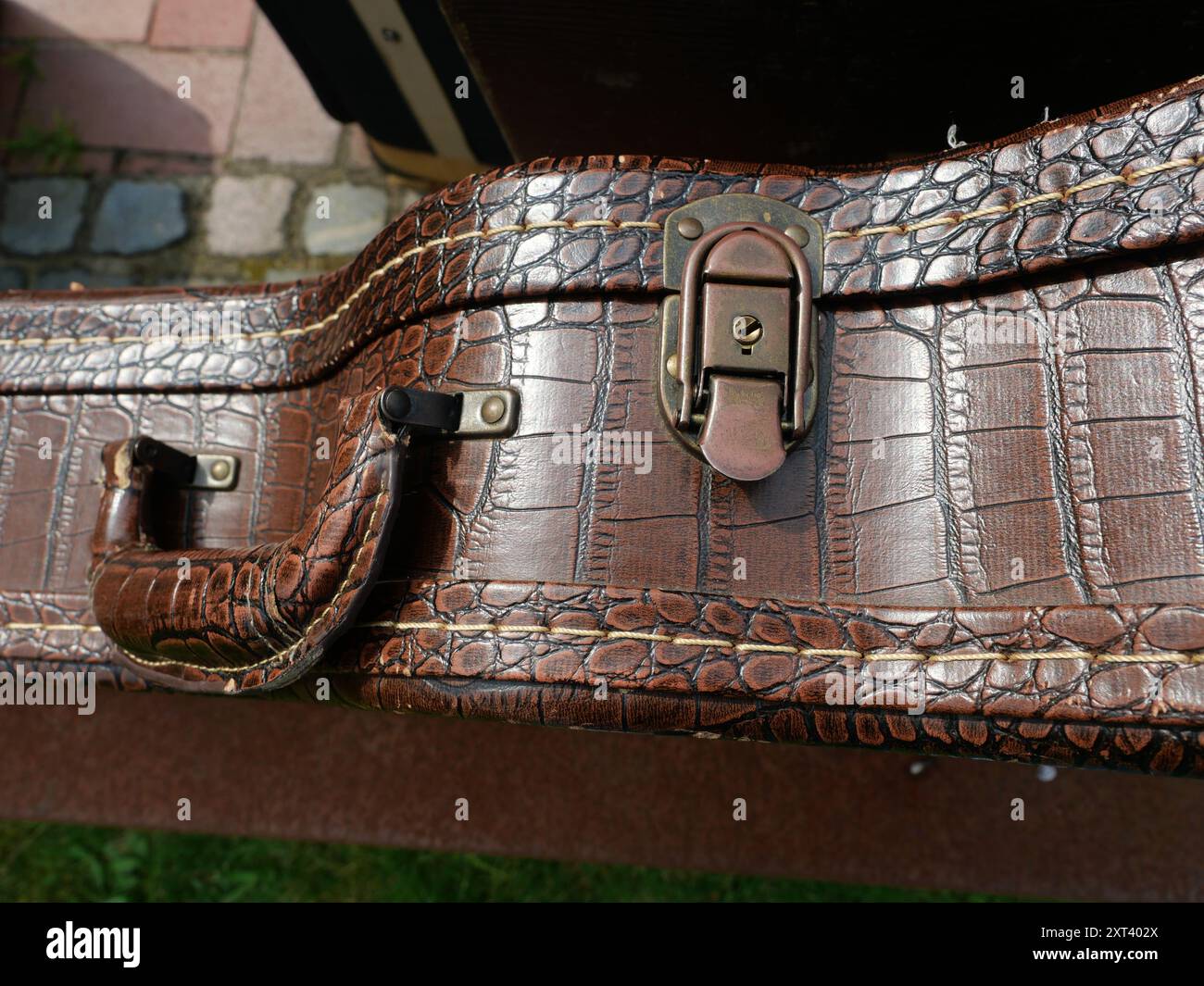 Primo piano di una custodia per chitarra in pelle con motivo in pelle di serpente. Simboleggia il trasporto sicuro degli strumenti musicali tra i palchi. Foto Stock