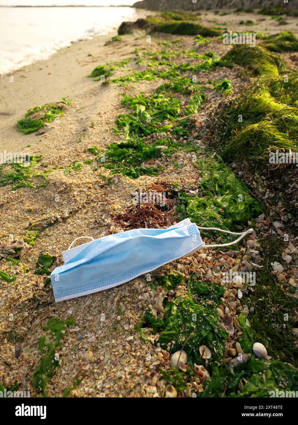 Un colpo verticale di una maschera di faccia sulla spiaggia- inquinamento ambientale e concetto di covid-19 Foto Stock