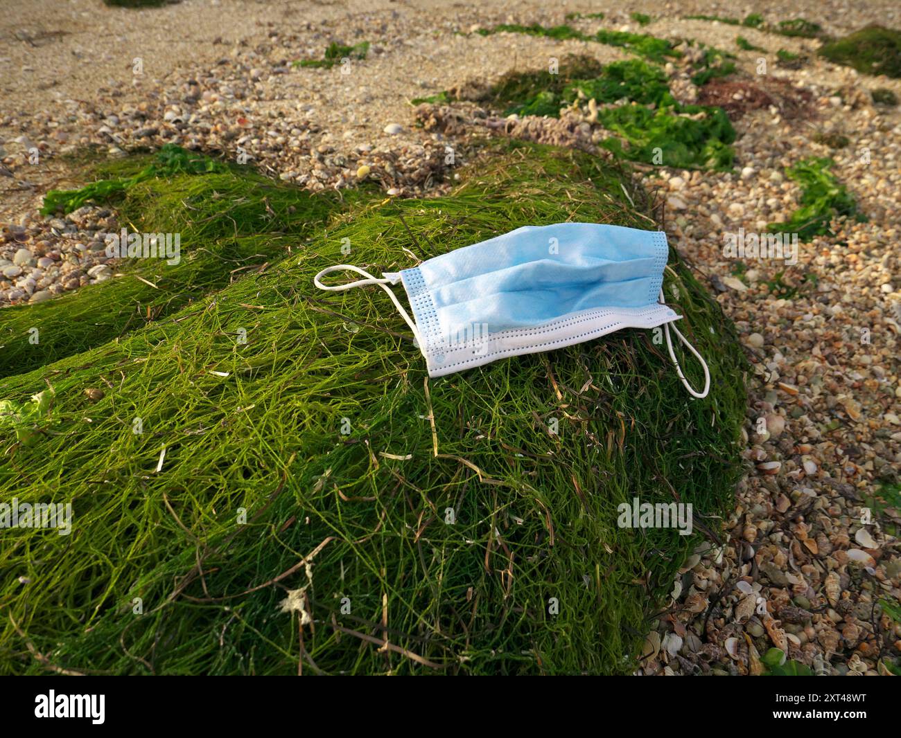 Un primo piano di una maschera sulla spiaggia- inquinamento ambientale e concetto di covid-19 Foto Stock