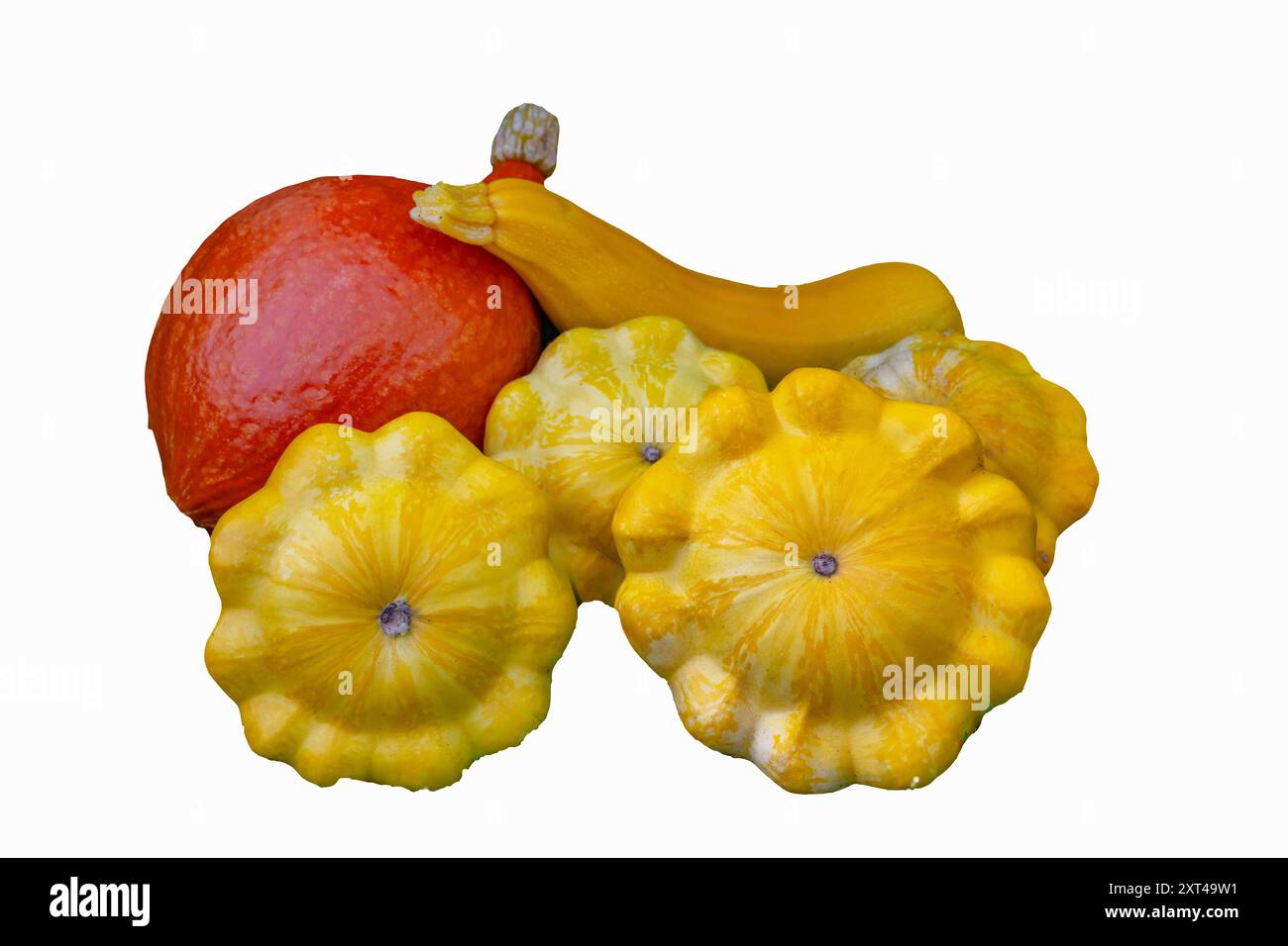 Tre tipi di zucca sul prato. Hokkaido, Patisson, zucca di pera (zucca di zucca di zucca) Foto Stock