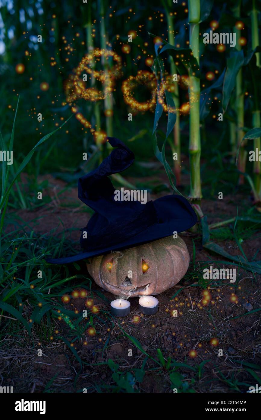 Una zucca incandescente in un campo di mais. Halloween concept con una boo fatta di scintille. Foto Stock