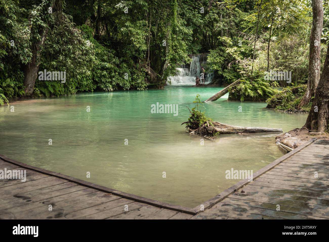 Cultura e natura viaggiate in Laos, attrazioni della Provincia di Luang Prabang cascata di Kuang si nella riserva naturale del Parco Tat Kuang si in Laos Foto Stock