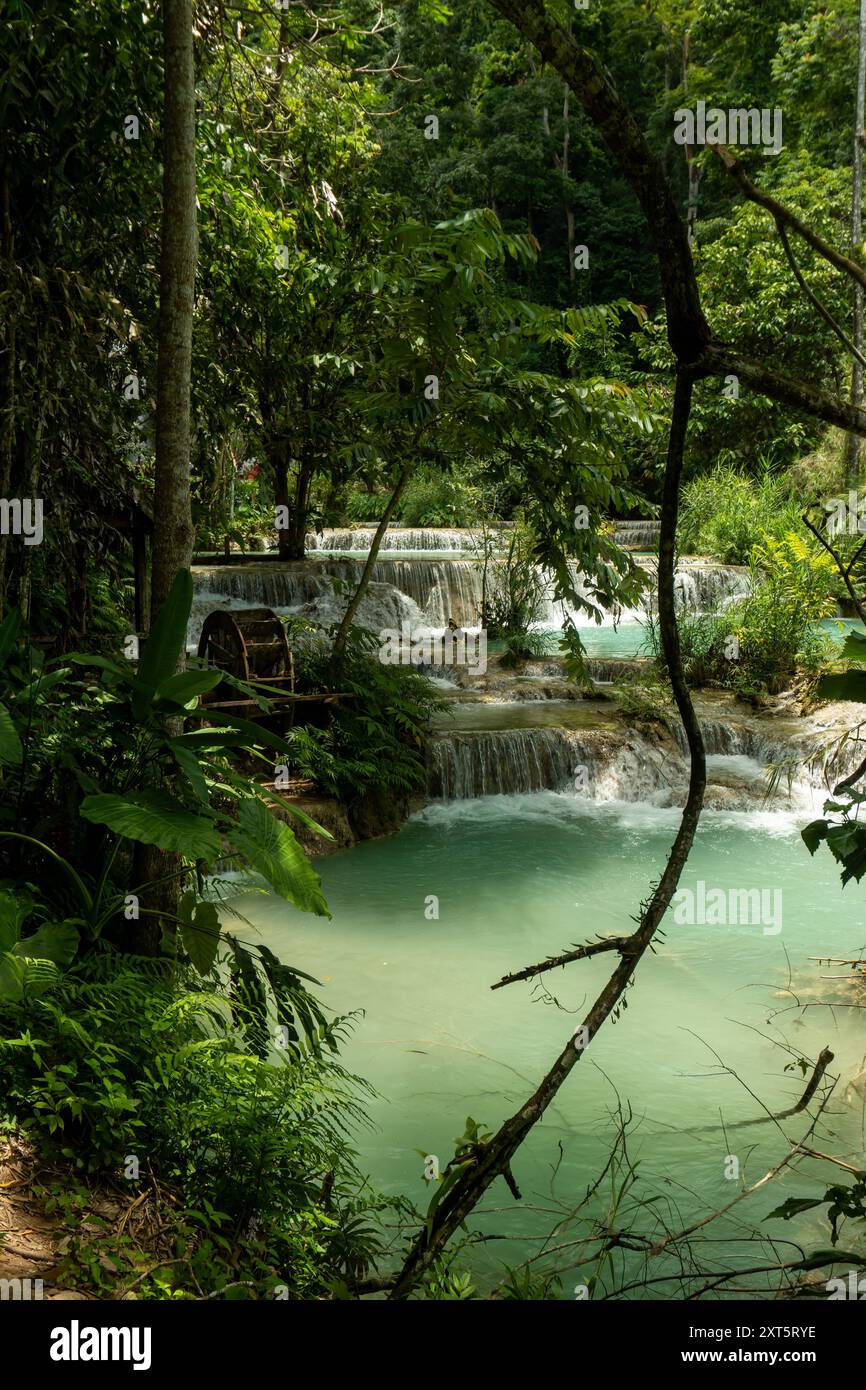 Cultura e natura viaggiate in Laos, attrazioni della Provincia di Luang Prabang cascata di Kuang si nella riserva naturale del Parco Tat Kuang si in Laos Foto Stock