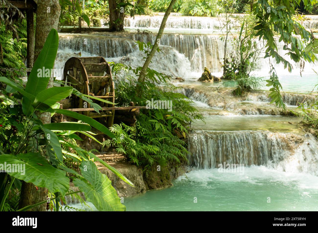 Cultura e natura viaggiate in Laos, attrazioni della Provincia di Luang Prabang cascata di Kuang si nella riserva naturale del Parco Tat Kuang si in Laos Foto Stock