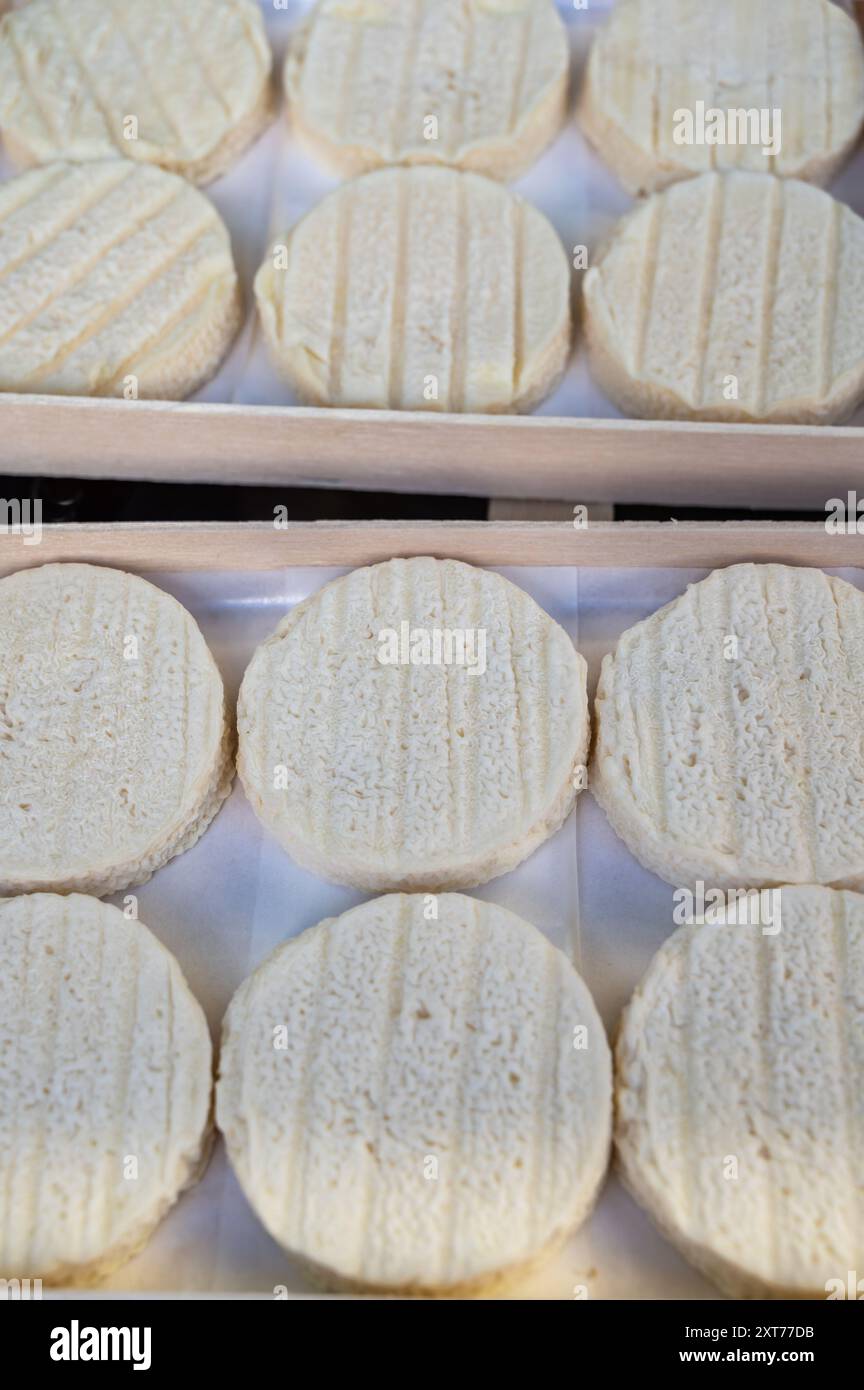 Rocamadour o Cabecous formaggio caprino morbido AOC con crosta tenera prodotto in azienda a Perigord e Quercy sul mercato agricolo, lotto di dipartimento in Francia Foto Stock