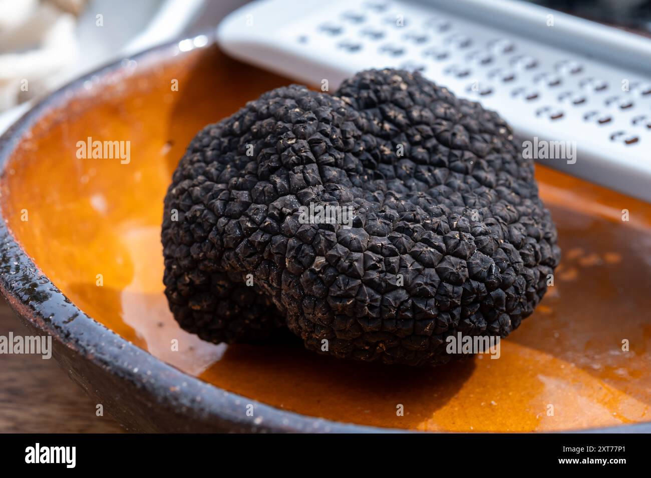 Deliziosi funghi, funghi freschi al tartufo nero estivo dall'Italia e grattugia per preparare piatti al tartufo dall'aroma gustoso Foto Stock