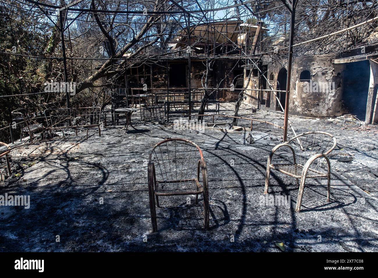 Atene, Grecia. 13 agosto 2024. Questa foto mostra un ristorante danneggiato da un incendio nel nord di Atene, Grecia, il 13 agosto 2024. Un grande incendio che è scoppiato la domenica e si è diffuso per oltre 30 km per raggiungere i sobborghi nord-orientali di Atene è stato contenuto il martedì mattina presto, lasciando un morto e causando danni significativi, secondo le autorità locali. Crediti: Marios Lolos/Xinhua/Alamy Live News Foto Stock