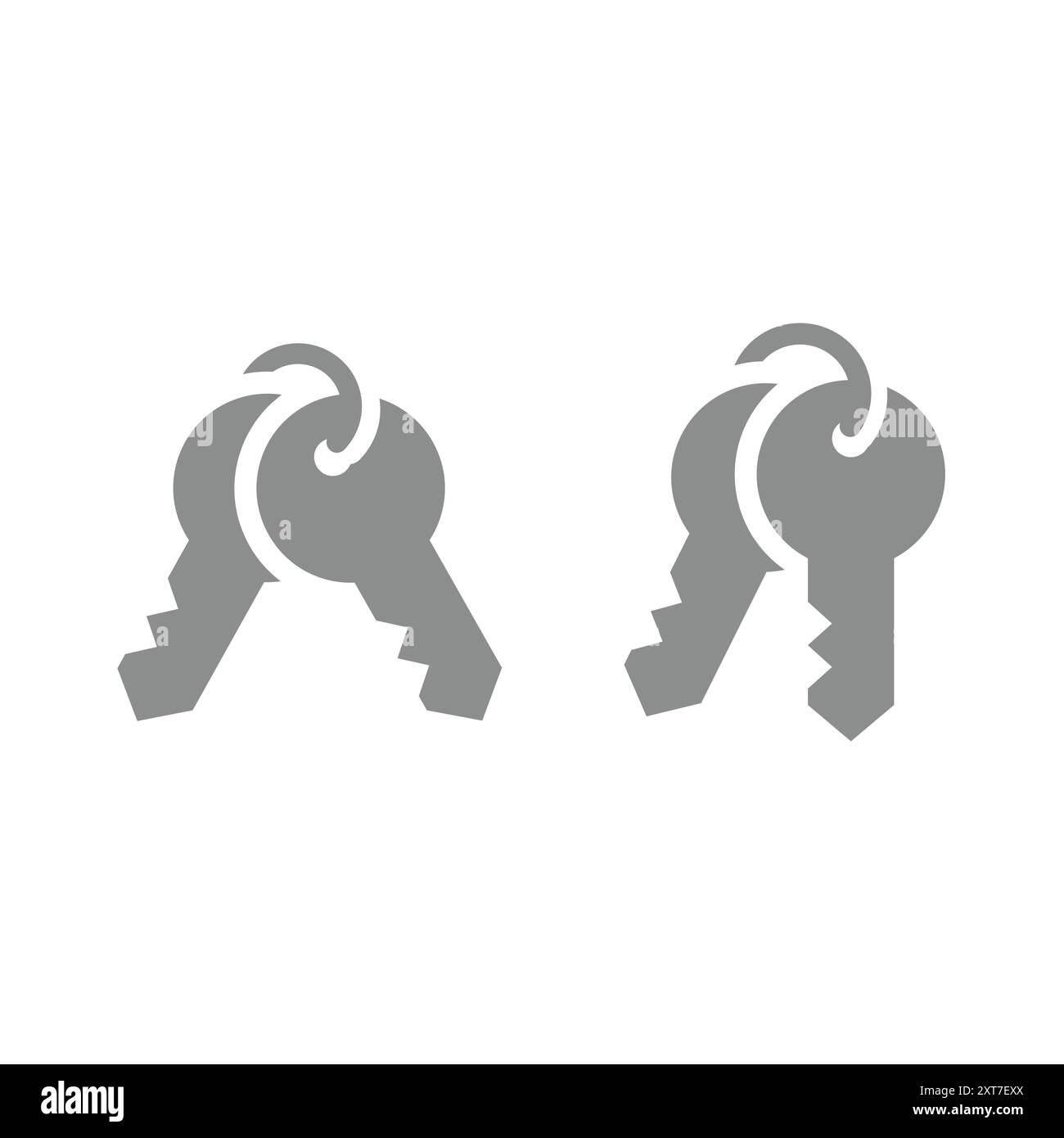 Set di tasti e icona del vettore portachiavi. Chiavi su una catena, casa e simbolo immobiliare. Illustrazione Vettoriale