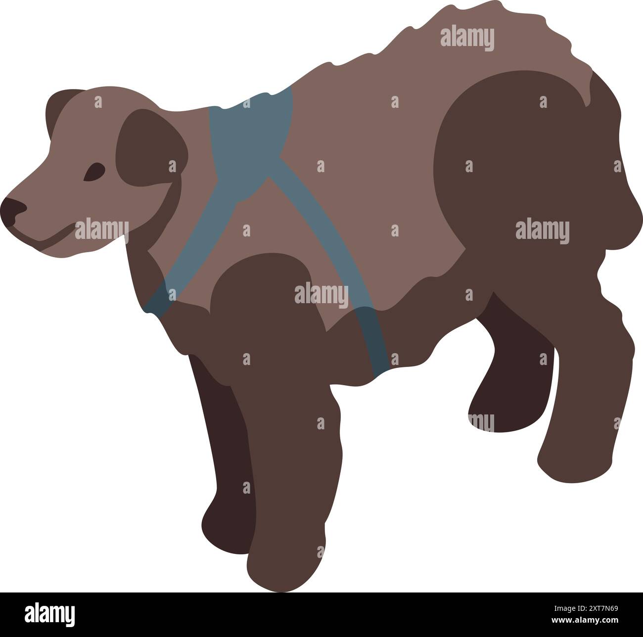 Il cane da pastore marrone indossa un'imbracatura blu su sfondo bianco Illustrazione Vettoriale Il cane da pastore marrone indossa un'imbracatura blu su sfondo bianco Illustrazione Vettoriale