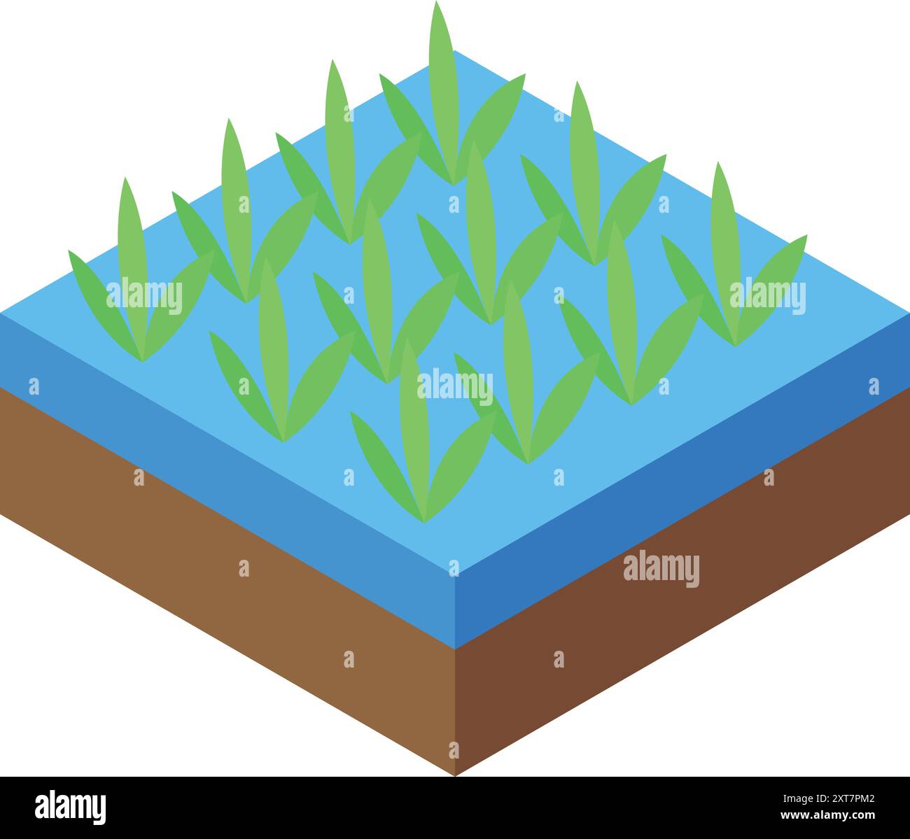 Questa icona isometrica rappresenta una risaia, che mette in evidenza la pratica agricola di coltivare riso in campi allagati Illustrazione Vettoriale