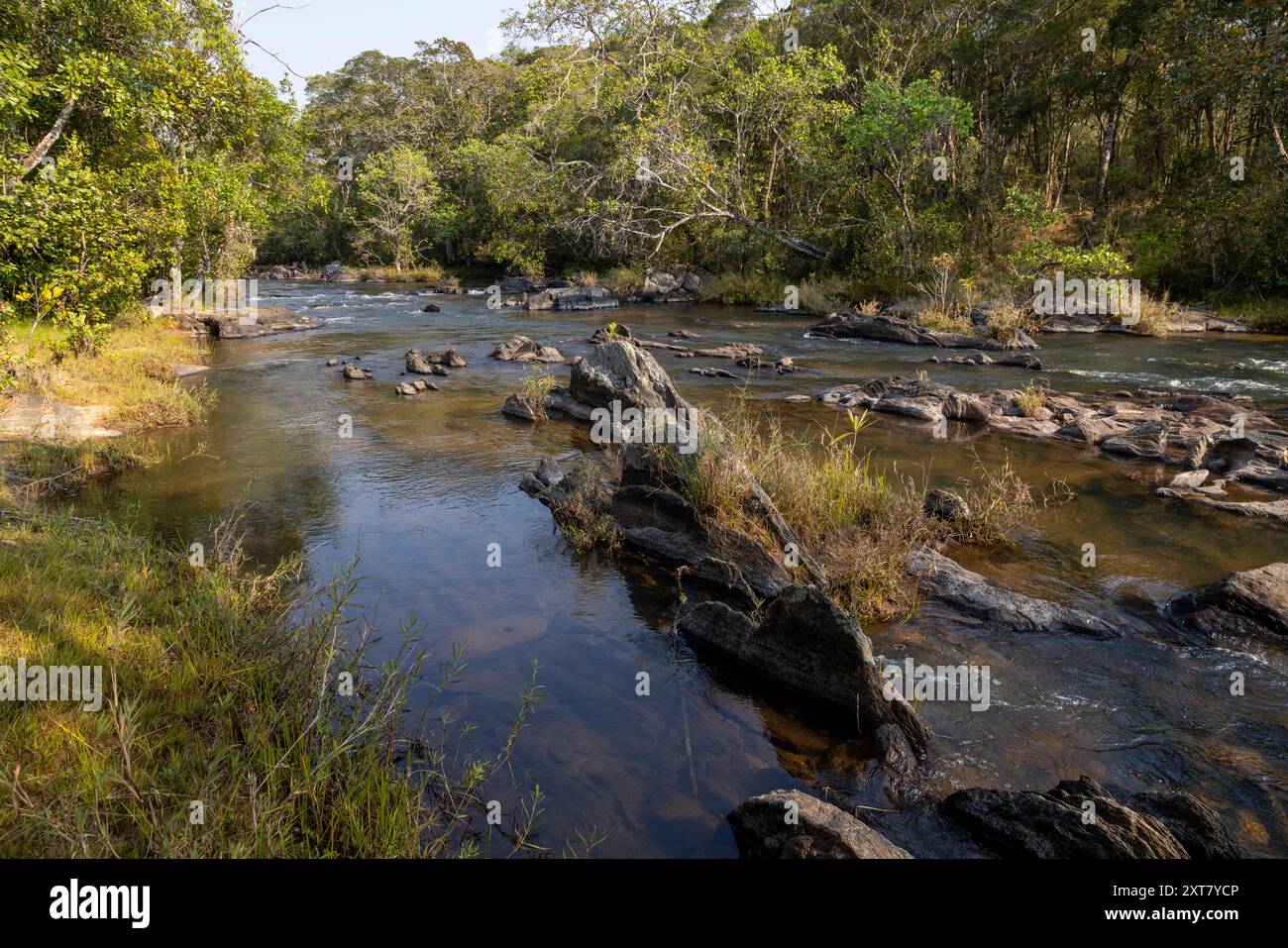 Vista panoramica del fiume Lufila al campo di Samala con le sue acque cristalline e la foresta fluviale Foto Stock