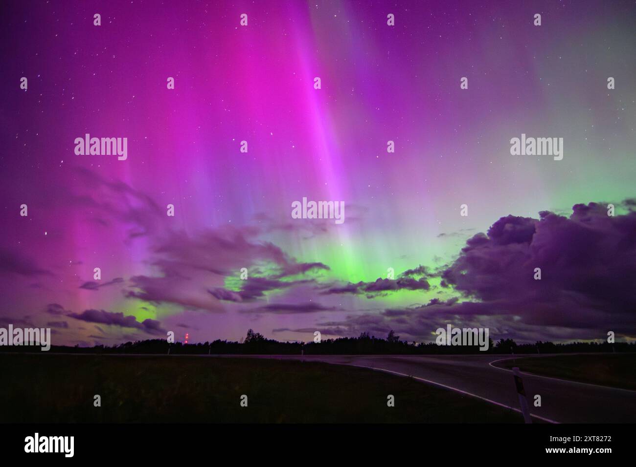 Aurora boreale o aurora boreale osservata in Estonia 12.08.2024 Saaremaa durante una forte tempesta solare. Colori e motivi naturali incredibili in Starry Night Foto Stock