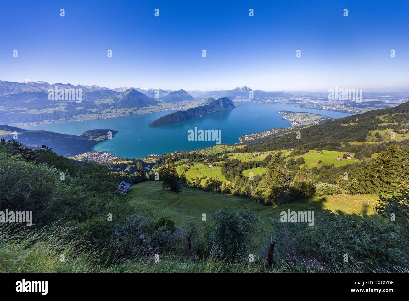 Vista del lago di Lucerna da Berghaus Unterstetten. Vitznau, Lucerna, Svizzera Foto Stock