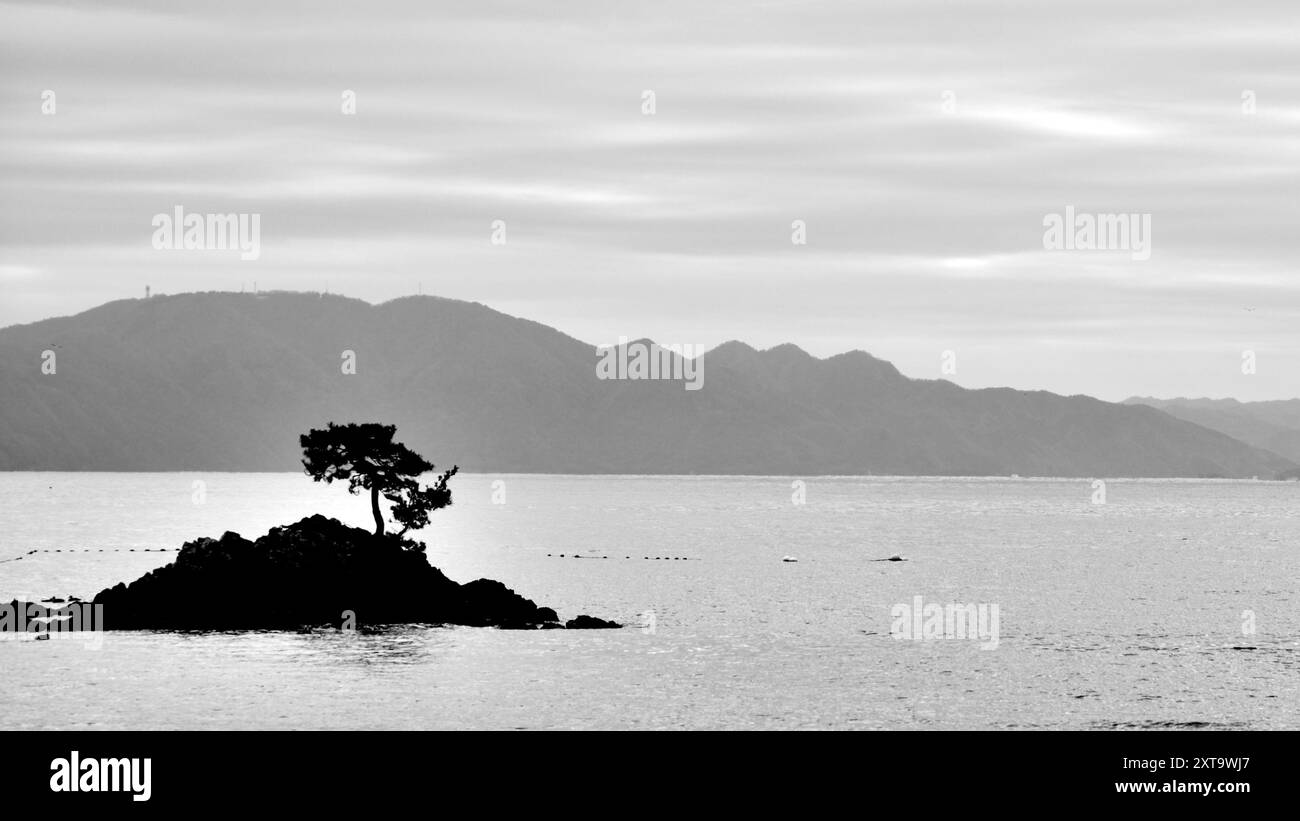 Immagine in bianco e nero del paesaggio a Ine, nella prefettura di Kyoto a nord sul Mar del Giappone Foto Stock