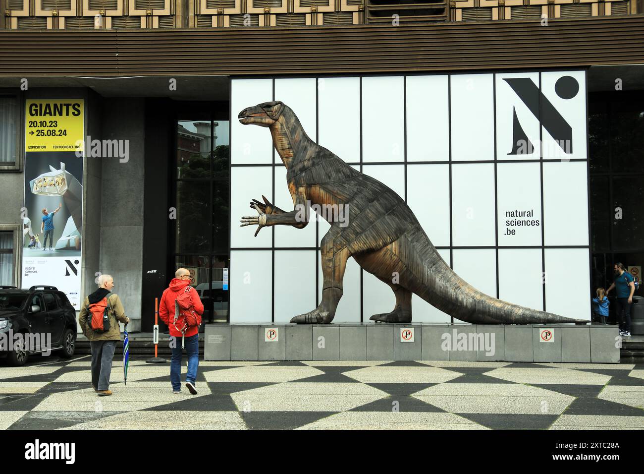 I visitatori si avvicinano all'ingresso del Museo di storia naturale di Bruxelles, Belgio Foto Stock