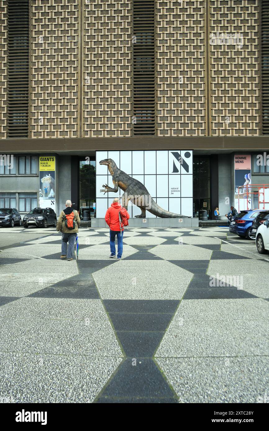 I visitatori si avvicinano all'ingresso del Museo di storia naturale di Bruxelles, Belgio Foto Stock