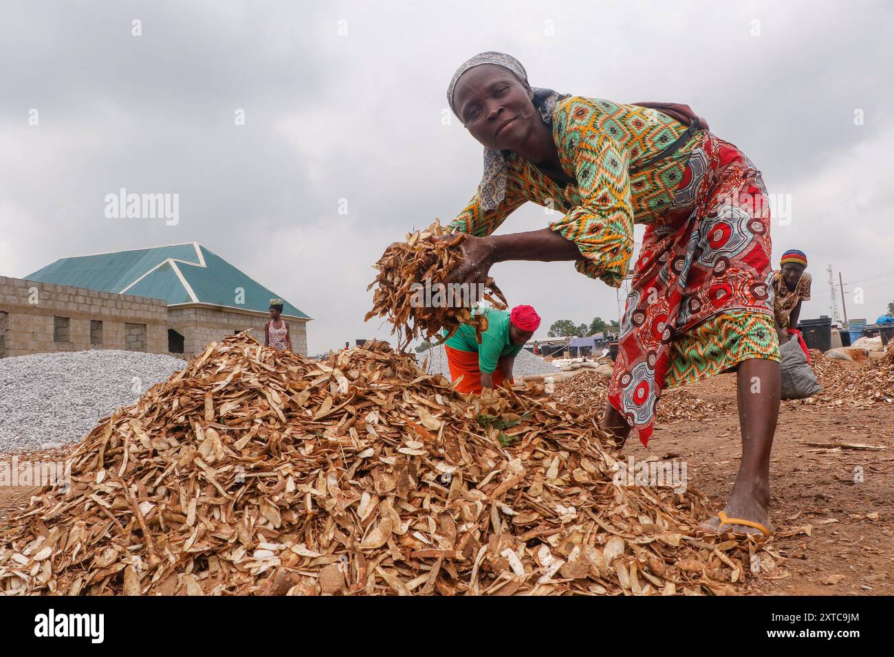 Le femmine di Abuja stanno lottando e facendo passi da gigante in una fabbrica locale di lavorazione della manioca in condizioni difficili per produrre farina mentre lavano la pula dalla manioca fermentata. Di fronte alle incertezze economiche, queste giovani ragazze e donne stanno affrontando varie sfide per rafforzare se stesse, fornire lavoro agli altri e sostenere il sostentamento. La maggior parte delle donne qui sono costrette a vivere, e si battono per le loro famiglie. Nigeria. Foto Stock