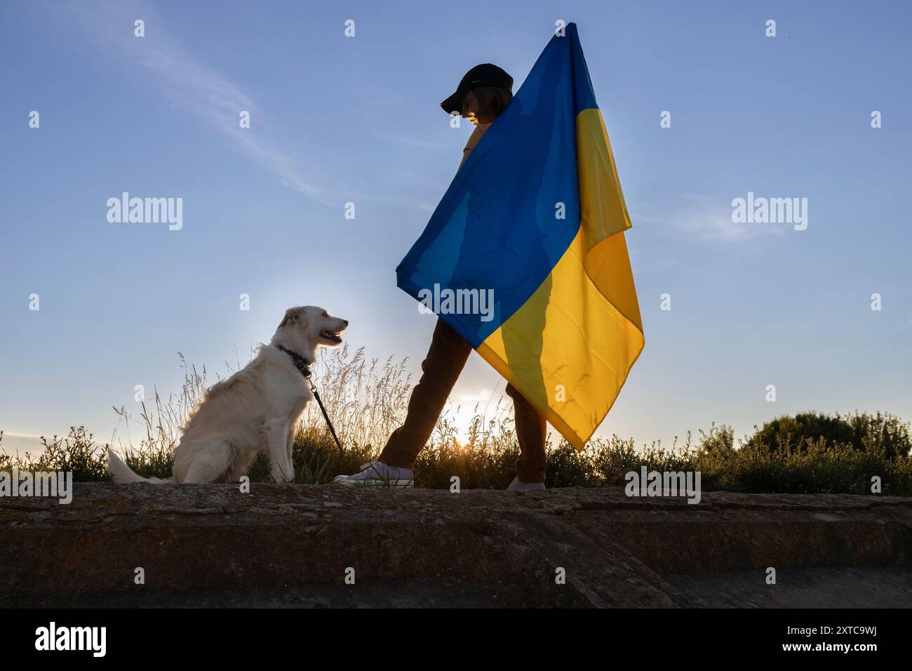 Sagoma del cane di una donna in piedi con la schiena che tiene la bandiera Ucraina contro il cielo al tramonto. Giornata dell'indipendenza dell'Ucraina. libertà, fiducia, Foto Stock