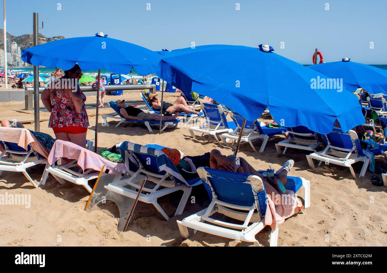I vacanzieri si crogiolano al sole sulla spiaggia di Levante a Benidorm, nella provincia di Alicante, Spagna Foto Stock