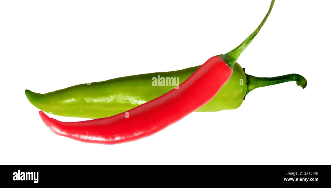 Peperoncino rosso e verde isolato su sfondo bianco. Vista dall'alto, verde naturale caldo e peperoncini rossi, coppia di rosso organico e verde di forma naturale Illustrazione Vettoriale