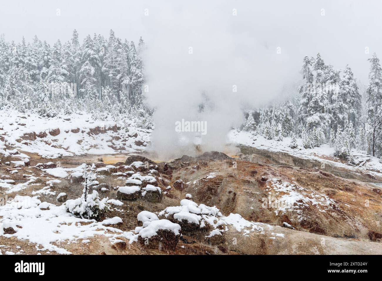 Geyser in battello a vapore in inverno con vapore vulcanico sulla neve, parco nazionale di Yellowstone, Wyoming, Stati Uniti. Foto Stock