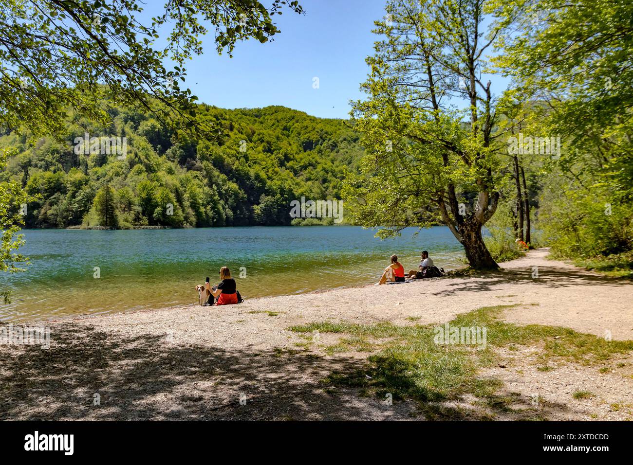Turista sui laghi di Plitvice Foto Stock