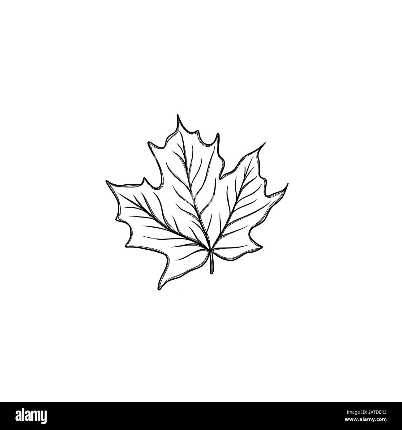 Foglia d'acero autunnale. Elemento per creare design autunnali. schizzo a mano libera della foglia d'acero autunnale Foto Stock
