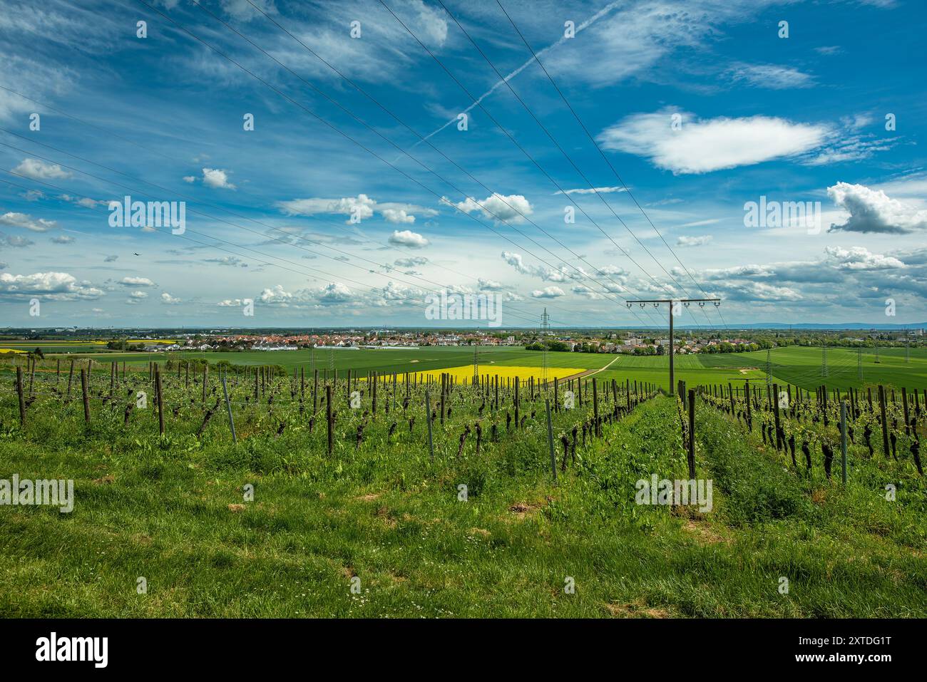 Vista dal Florsheimer Warte alla pianura Reno-meno, Assia, Germania Foto Stock