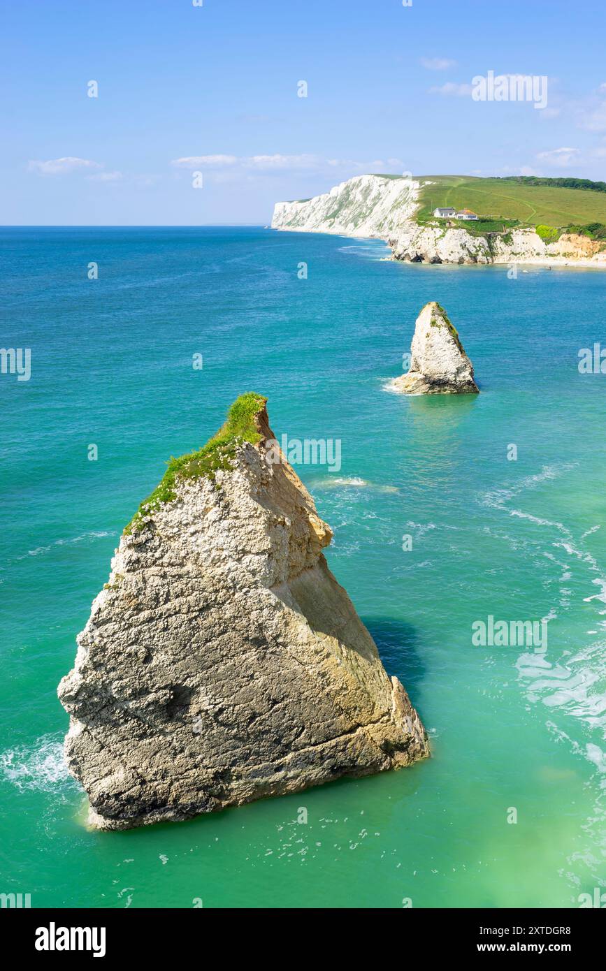 Isola di Wight Regno Unito - Isola di Wight baia di Freshwater con le rocce di Stag e Sirenetta e scogliere di gesso della baia di Freshwater Isola di Wight Inghilterra Regno Unito Europa Foto Stock