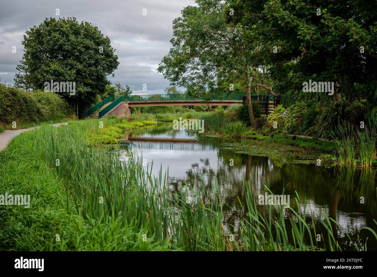 Il Grand Western Canal Country Park e la riserva naturale locale si snodano per 18 chilometri circa attraverso la splendida campagna del Mid Devon, Tiverton, Devon, Inghilterra, Regno Unito Foto Stock