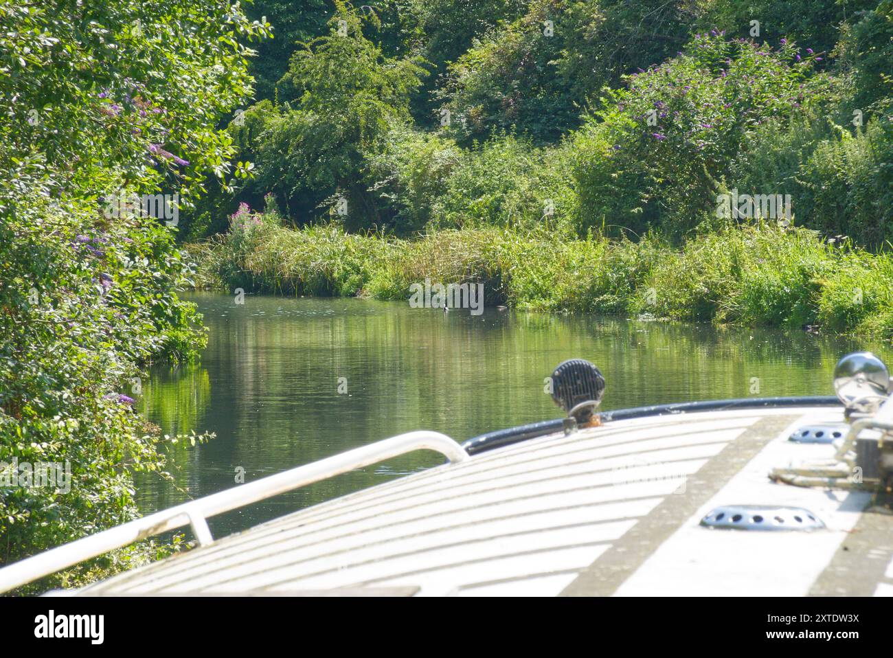 Vista del canale di Chichester dal motoscafo. West Sussex, Inghilterra. Foto Stock