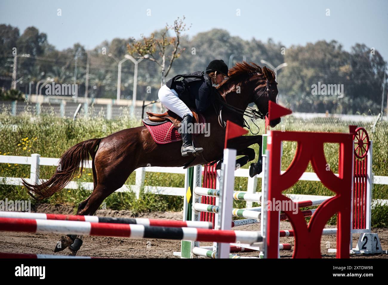 Concorso ippico FEI israeliano | profilo di salto del cavallo sopra la recinzione rossa Foto Stock
