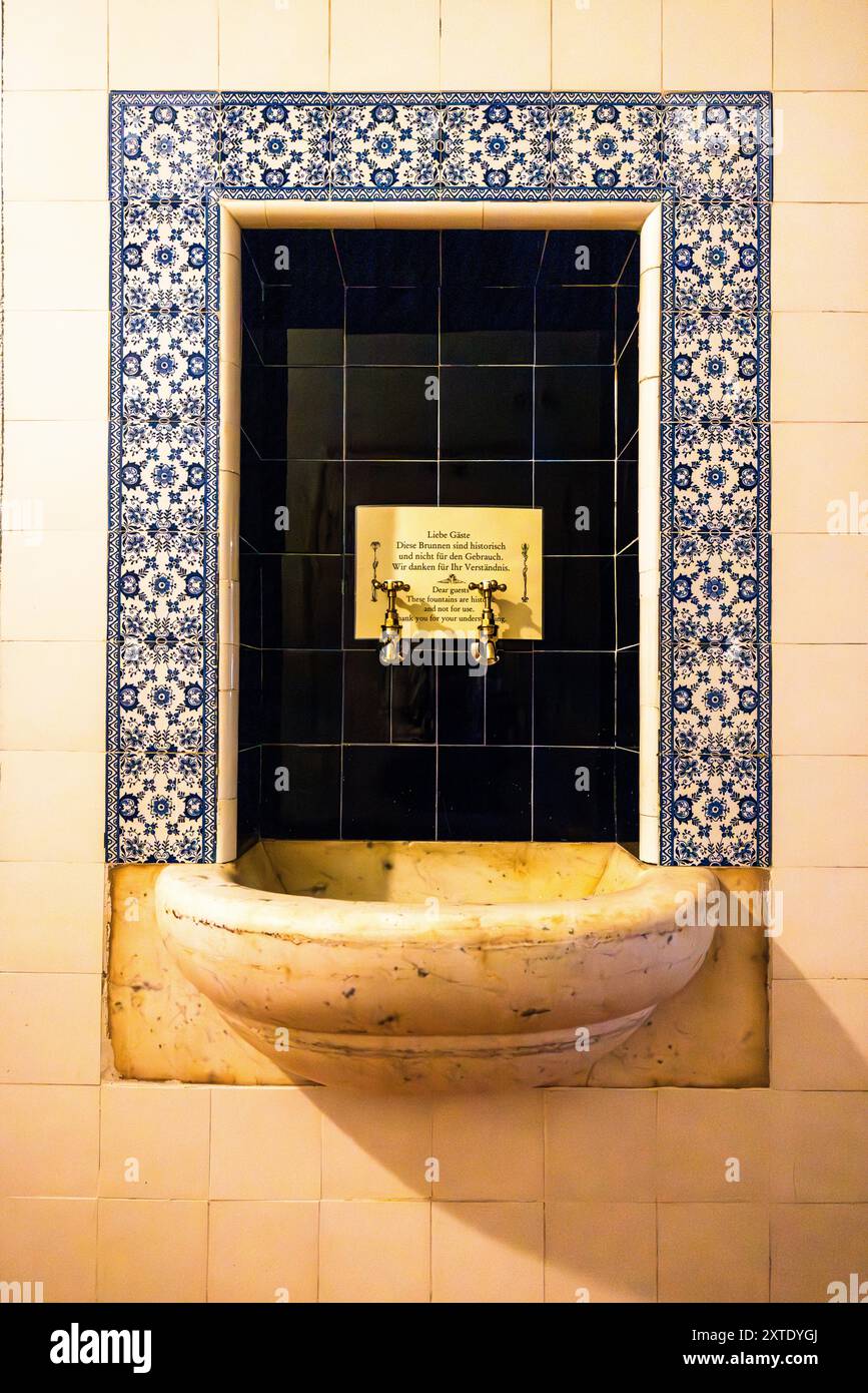 Elevato standard igienico al momento della costruzione intorno al 1899: Ci sono lavabi nei corridoi dove i pazienti affetti da tubercolosi possono svuotare e pulire i loro spittoi. L'ex sanatorio Schatzalp è ora un hotel. Thomas-Mann-Weg, Davos, Grigioni, Svizzera Foto Stock