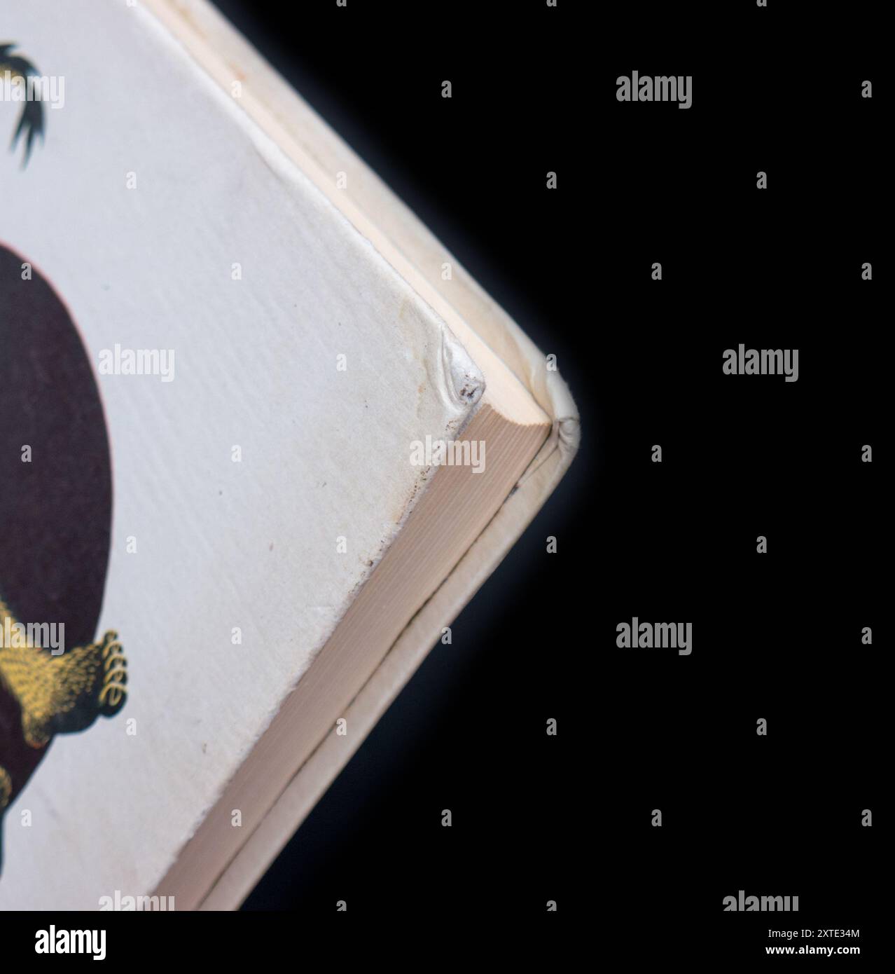 Lo Hobbit, or There and Back Again (in russo: Хоббит, или Туда и обратно) è un romanzo fantasy per bambini dell'autore inglese J. R. R. Tolkien, prima edizione nel 1976 in URSS. Foto Stock