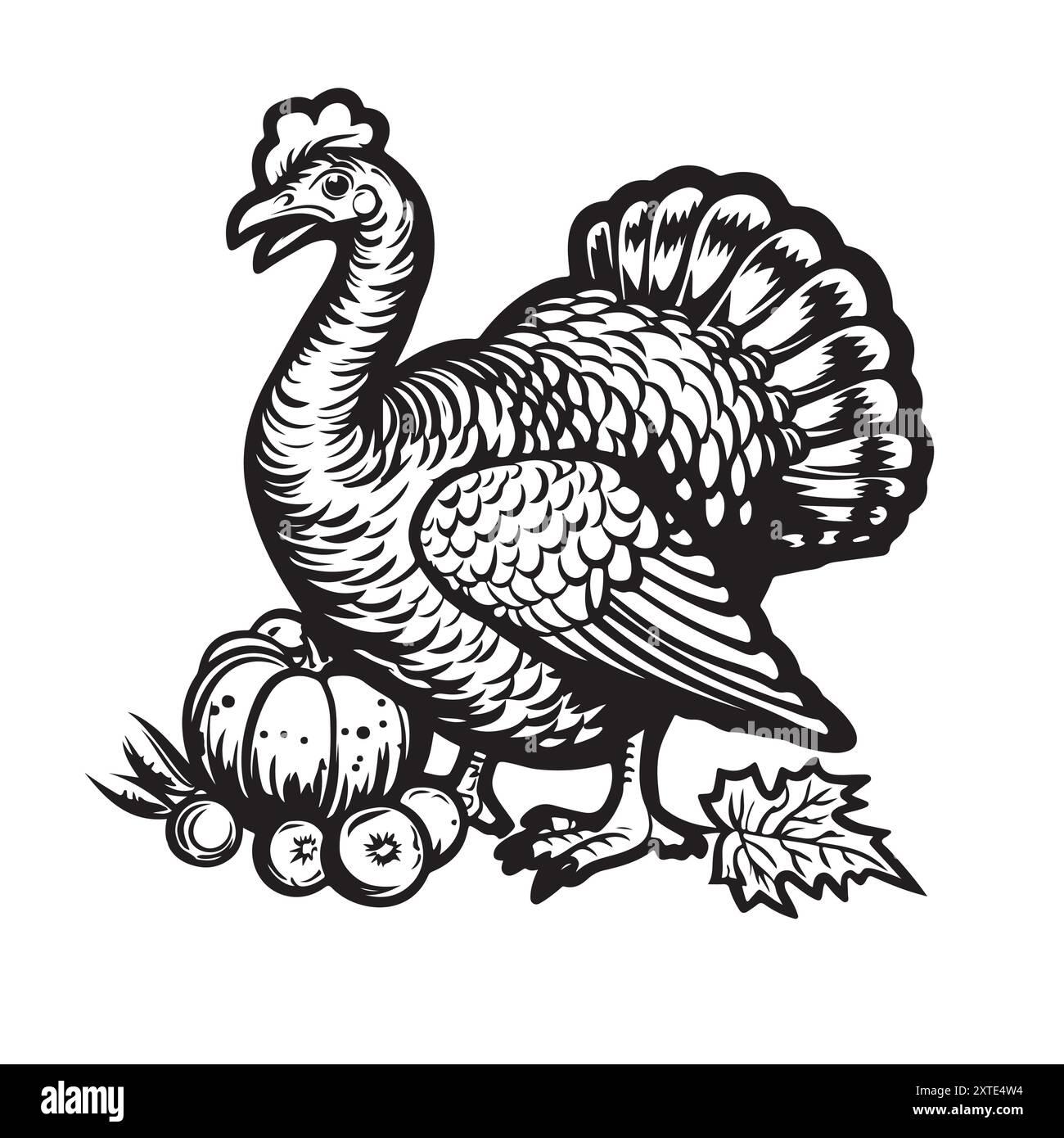 Illustrazione vettoriale - un tacchino uccello. Una serie di animali da fattoria. Grafica, disegno fatto a mano. Incisione vintage. Natura - schizzo. Uccelli selvatici isolati Illustrazione Vettoriale