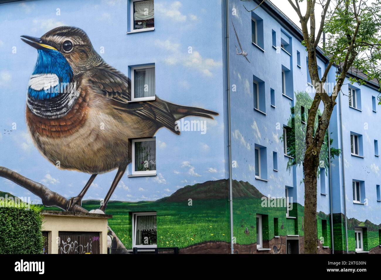 Wohnhäuser an der Feldsieper Straße in Bochum, nach einer energetischen Sanierung, mit Fassadendämmung, Hat die Bochumer Wohnstätten Wohnungsgenossenschaft, die Gebäude mit einem großen Wandbild bemalen lassen, vom Dortmunder Graffiti Künstler Denis Klatt, es zeigt auf der gesamten Fassade ein Blaukehlaft und eine Landschmit Bäumen Leben unter der Erde und viel Himmel, Bochum-Hamme, NRW, Deutschland, Wandbild *** edifici residenziali sul Feldsieper Straße a Bochum, dopo un rinnovamento energetico, con isolamento della facciata, il Bochumer Wohnstätten Wohnungsgenossenschaft, ha avuto l'edificio Foto Stock