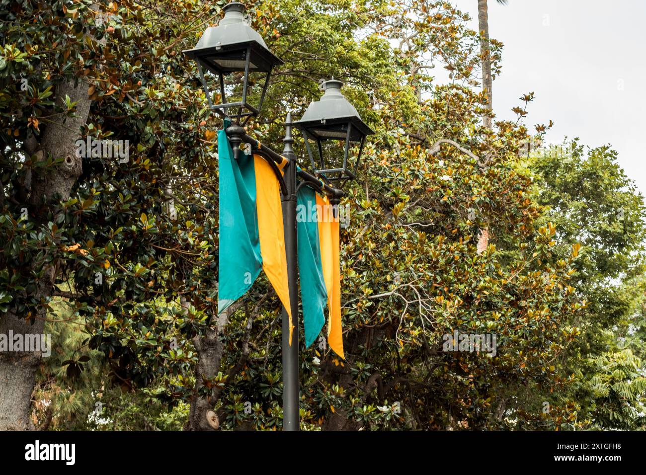 Lampione stradale con alberi sullo sfondo Foto Stock