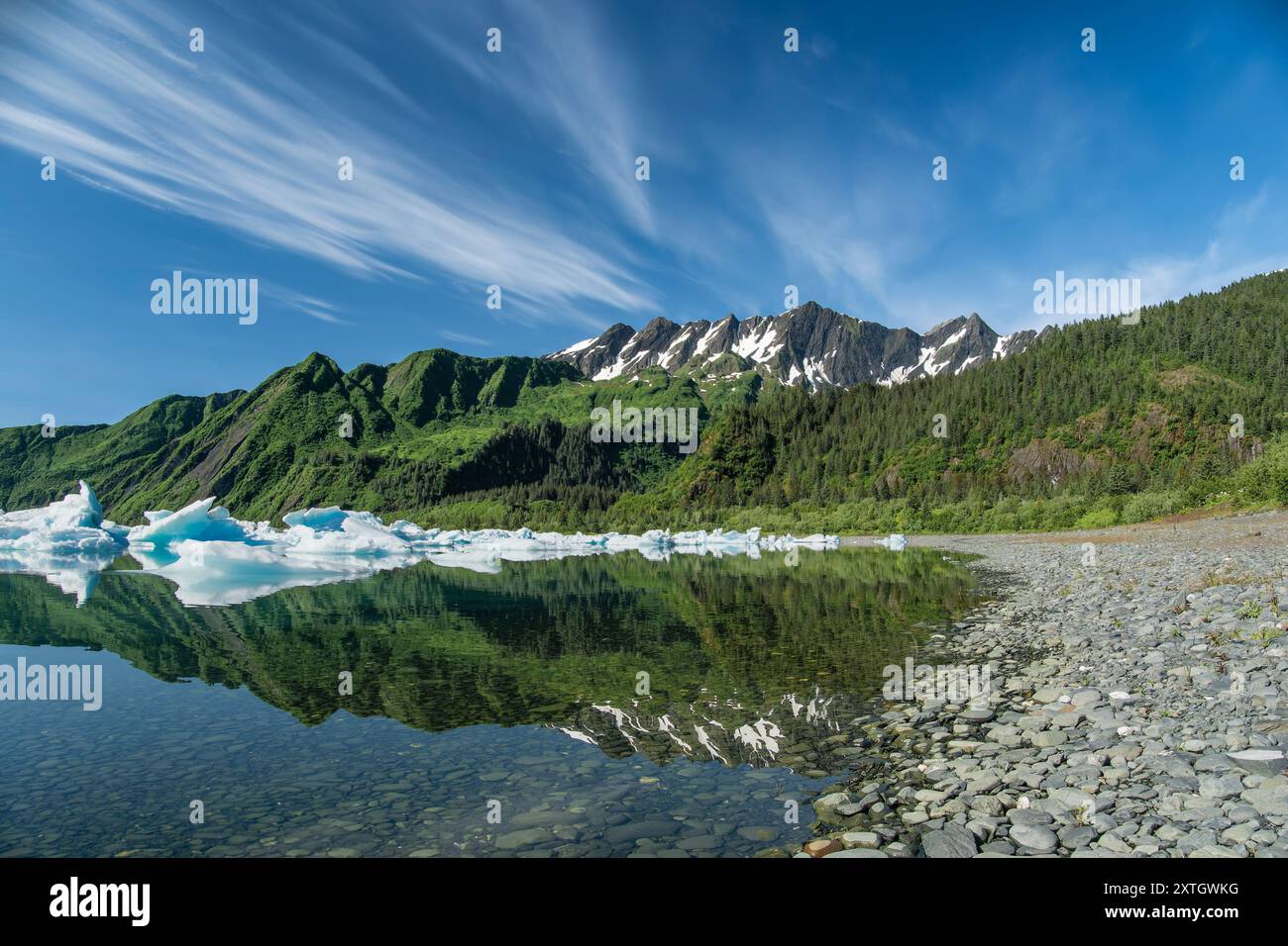 Verdeggianti dintorni della laguna presso il ghiacciaio Bear nell'Alaska centro-meridionale. Foto Stock