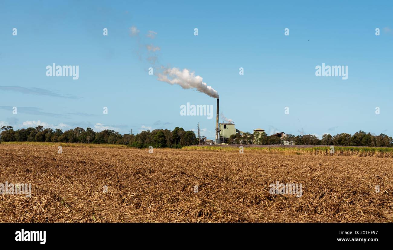 Raffineria di canna da zucchero che elimina il fumo durante la trasformazione della canna in zucchero greggio per uso da parte dei consumatori. Foto Stock